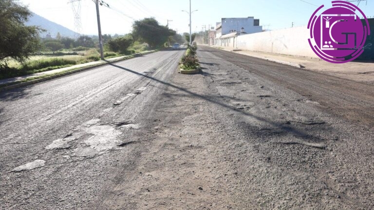 El Canto de los Grillos MX