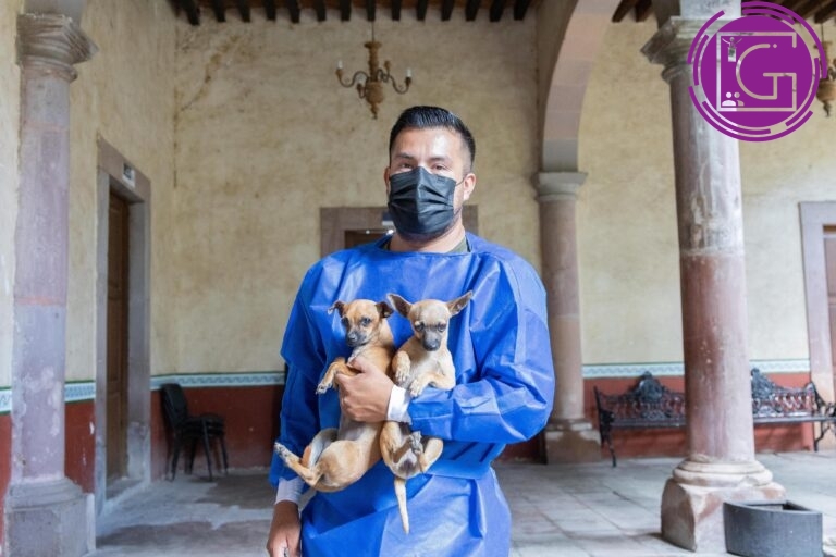 Campaña “Esteriliza y Protege” para mascotas recorre las colonias y comunidades del municipio