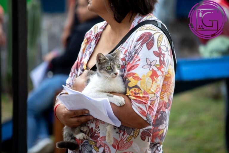 Ha realizado municipio más de 2 mil 700 esterilizaciones gratuitas