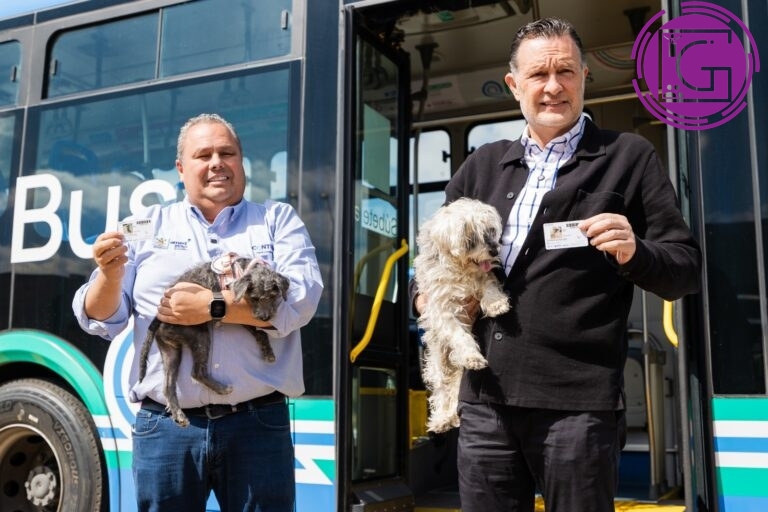 Lanzan Qrobus Pet Friendly: transporte público ahora permite mascotas con registro gratuito