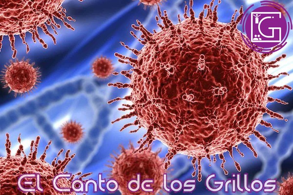 Querétaro, con 65 mil 503 contagios de #coronavirus