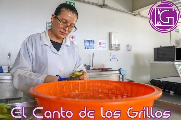 Concentrará UAQ a expertos en industria de alimentos y bebidas enlatadas