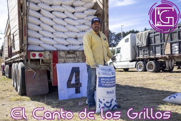 Entrega Sedea 13 toneladas de maíz a productores agropecuarios en #Amealco