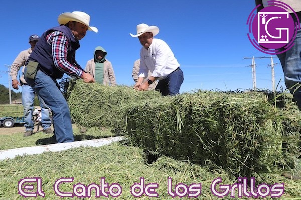 Entregan forraje a ganaderos amealcenses afectados por sequía