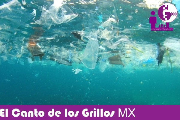 Plásticos en océanos serán productos sostenibles