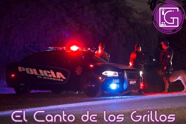 Disminución del 8% en delitos del fuero común en #ElMarqués