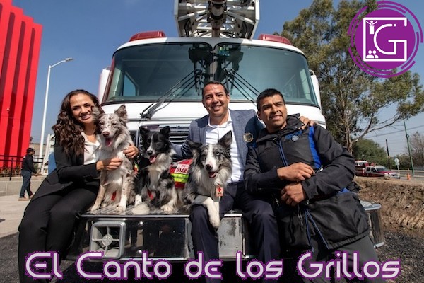 Invitan a decir “Sí al Redondeo” a favor de Bomberos de #SJR