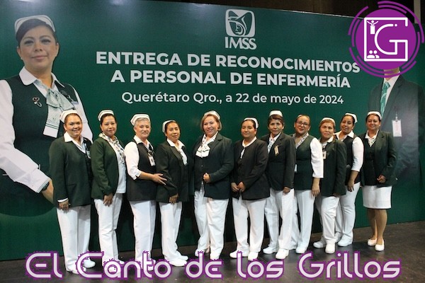 Reconoce IMSS Querétaro a 37 enfermeros por su desempeño sobresaliente