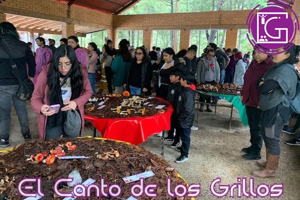 Realiza UAQ la 3ª Feria del Hongo en #PinaldeAmoles