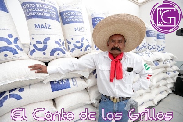 Entrega Sedea 468 toneladas de maíz a productores de #ElMarqués