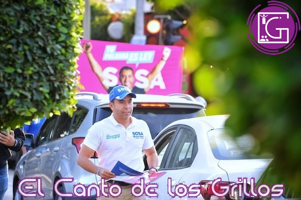 Propone Sosa crear Fiscalía Especializada en Delitos Contra el Medio Ambiente