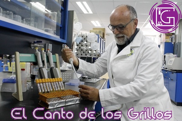 Distingue Conahcyt a docente UAQ como “Investigador Emérito”