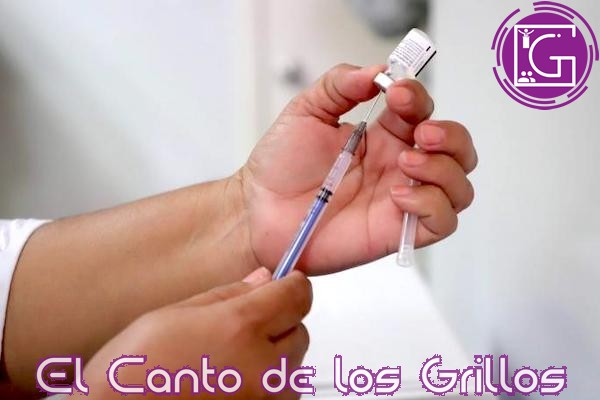 Rebasa México 150 mil muertes por #coronavirus