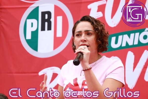 Nueve meses sin medicinas, el costo de un sistema de salud colapsado: Arredondo