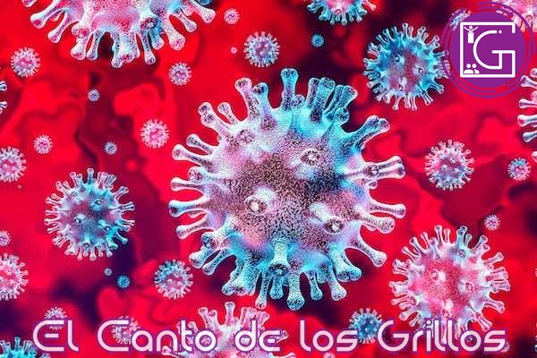 Otra vez, 40 muertes en Querétaro por #coronavirus