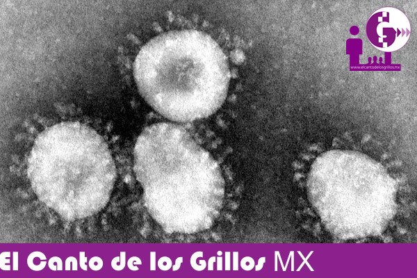 #Brasil registra primer caso de coronavirus en Latinoamérica