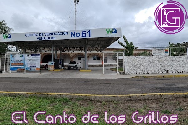 Habrá 75% de descuento en multas de verificación vehicular