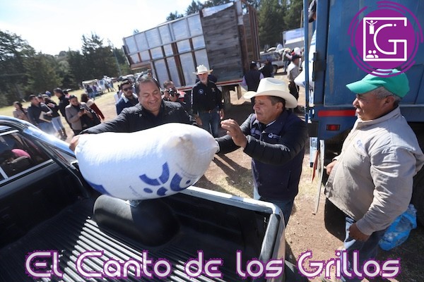 Apoya Sedea a más de 4 mil productores amealcenses con maíz