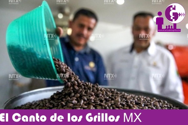 Llega MasAgro a más de 300 mil productores