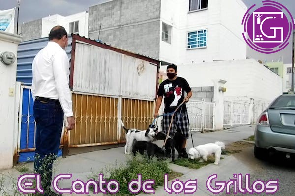 Germaín Garfias fomentará tenencia responsable de mascotas