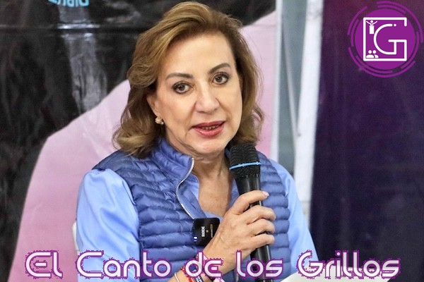 Vamos a legislar en el Senado para tener carreteras seguras: Lupita Murguía