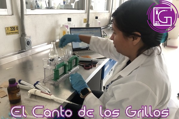 Celebra Química UAQ 20 años de formar a ingenieros biotecnólogos