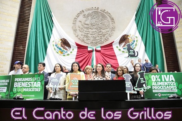 Propone Abigail Arredondo IVA cero en alimentos para mascotas