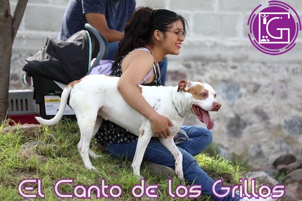 Refrenda #SJR su compromiso con cuidado y protección de animales