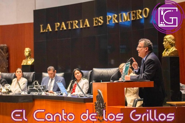 Política de Bienestar es justicia social y no populismo: Gilberto Herrera