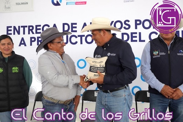 Entrega Sedea 53 toneladas de maíz a familias de #Tolimán afectadas por sequía
