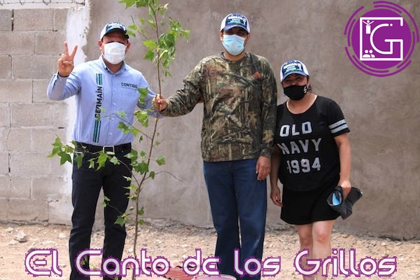 Promoverá Germaín Garfias reforestación en colonias y comunidades