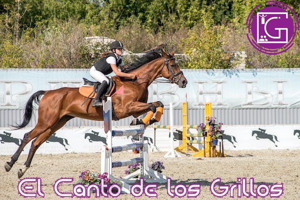 Anuncian concurso internacional de salto ecuestre en #PedroEscobedo