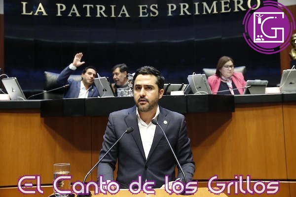 Acción Nacional rechaza reformas judiciales apresuradas: Agustín Dorantes