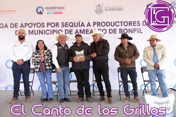 Concluye entrega de maíz a productores amealcenses afectados por sequía