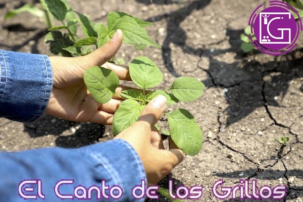 Triunfan proyectos UAQ en Premio Municipal de Biodiversidad 2024