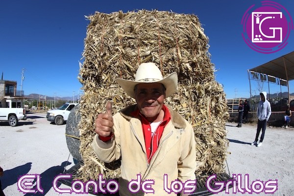 Entregan alimento para ganado a productores de #Tolimán y Peñamiller