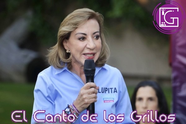 Vamos a trabajar para que #Querétaro cuente con escuelas públicas trilingües: Murguía