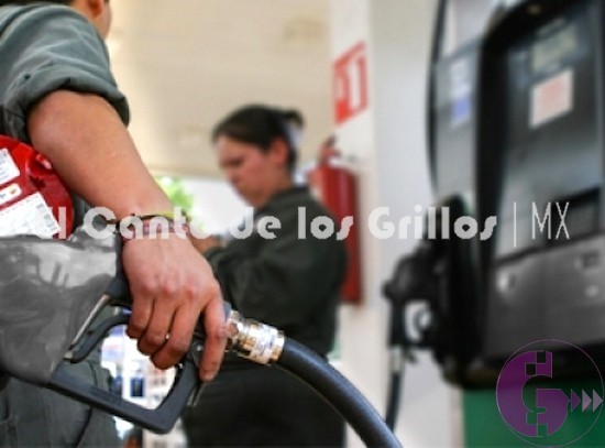 Por sexta semana, #gasolina Premium se queda sin estímulo fiscal