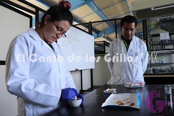 Alumnos de @UTSJR1 realizan estadía en el sector productivo