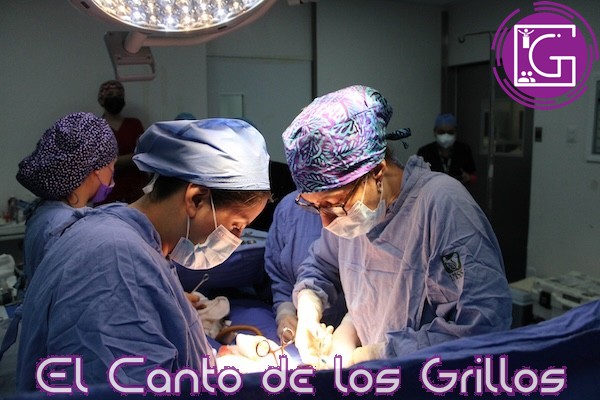 Realiza IMSS Querétaro primera procuración multiorgánica de 2025