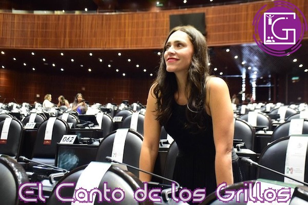 Reforma al Poder Judicial no tiene consenso del pueblo: Arredondo