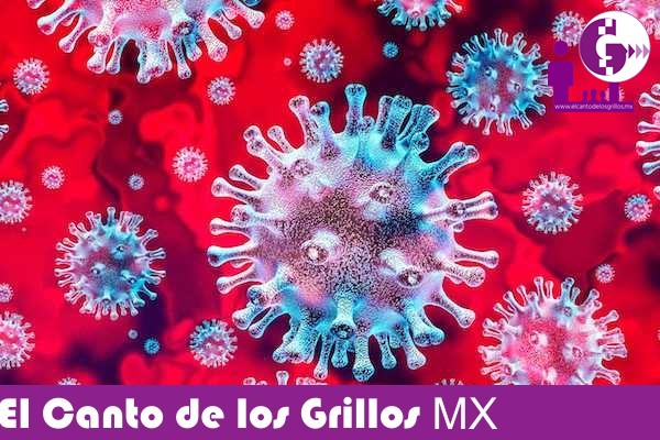Querétaro, a punto de llegar a 5 mil contagios de #coronavirus