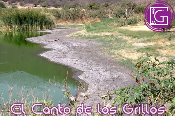 Implementa #Querétaro Protocolo de Seguridad Hídrica ante la emergencia por sequía