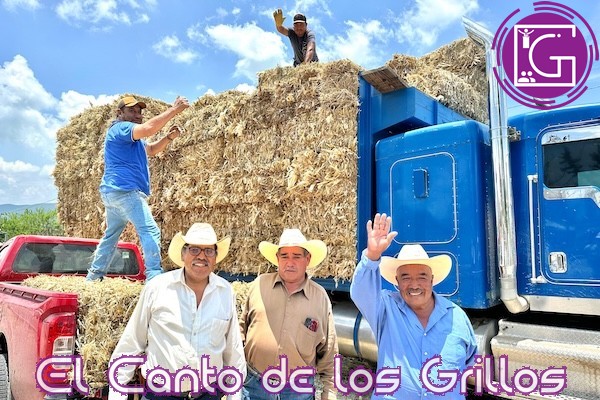 Entrega Sedea 4 mil 750 pacas de forraje a productores pecuarios de #ElMarqués