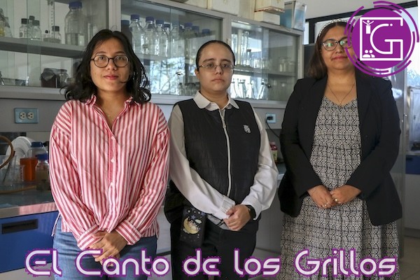 Patentan investigadoras UAQ sustituto de leche a base de frijol