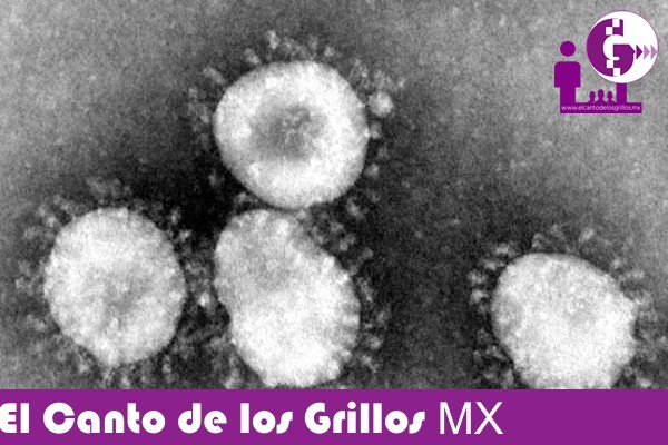 OPS insta países a la detección temprana de #coronavirus