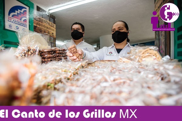 Apoya gobierno sanjuanense #reactivación económica de artesanos