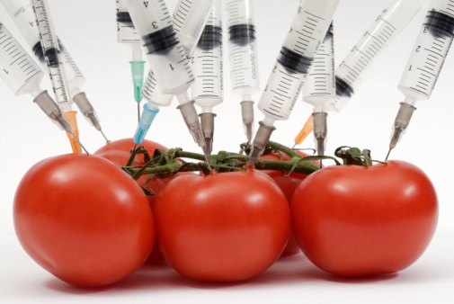Transgénicos son seguros: FDA