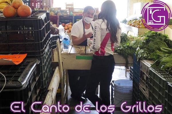 María Alemán presenta #programa de apoyos urgentes para micros, pequeñas y medianas empresas