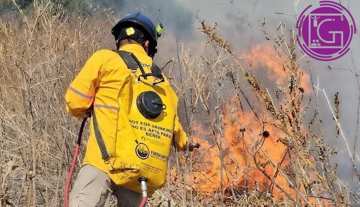 Hasta 90% de incendios forestales son provocados por actividad humana